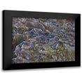 thumbnail image 1 of Frank, Assaf 24x19 Black Modern Framed Museum Art Print Titled - Frosty rock surface, 1 of 5