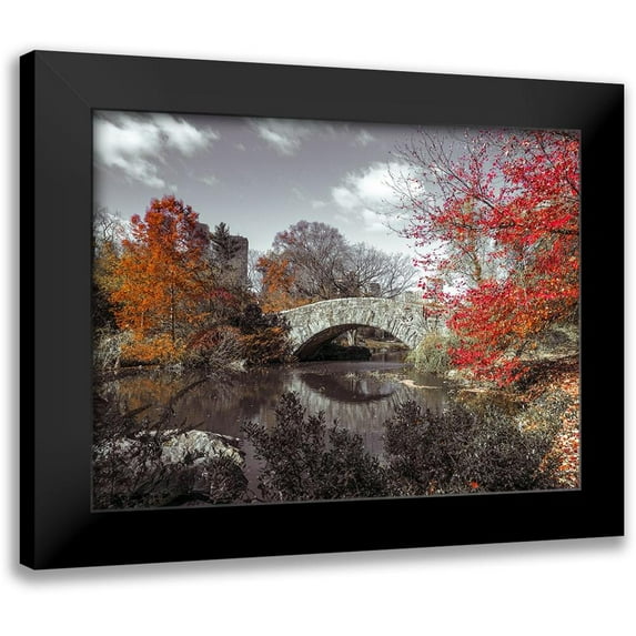 Frank, Assaf 24x19 Black Modern Framed Museum Art Print Titled - Gapstow bridge in the Autumn, Central park, New York