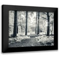 thumbnail image 1 of Frank, Assaf 24x19 Black Modern Framed Museum Art Print Titled - pathway through forest, 1 of 5