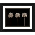 thumbnail image 1 of Frank, Assaf 24x19 Black Ornate Wood Framed with Double Matting Museum Art Print Titled - Allium flowers, 1 of 4