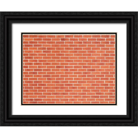 Frank, Assaf 24x19 Black Ornate Wood Framed with Double Matting Museum Art Print Titled - Brick Wall