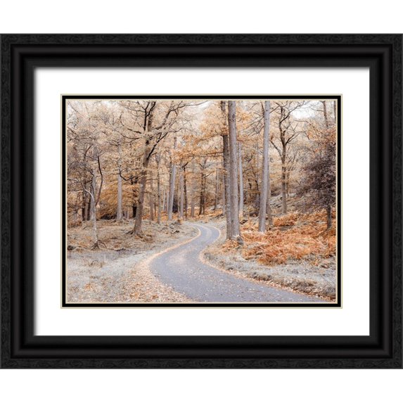 Frank, Assaf 24x19 Black Ornate Wood Framed with Double Matting Museum Art Print Titled - Forest path-Lake District