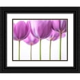 thumbnail image 1 of Frank, Assaf 24x19 Black Ornate Wood Framed with Double Matting Museum Art Print Titled - Purple Tulips, 1 of 4