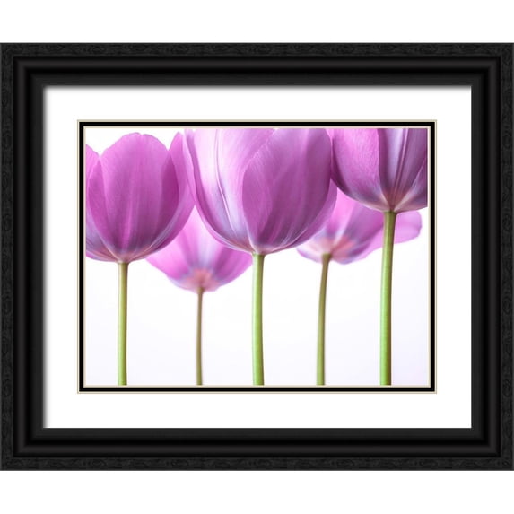 Frank, Assaf 24x19 Black Ornate Wood Framed with Double Matting Museum Art Print Titled - Purple Tulips