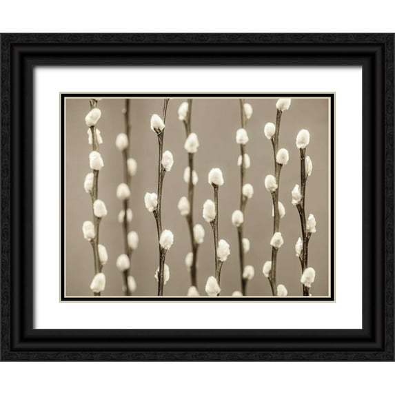 Frank, Assaf 24x19 Black Ornate Wood Framed with Double Matting Museum Art Print Titled - Pussy Willow twigs