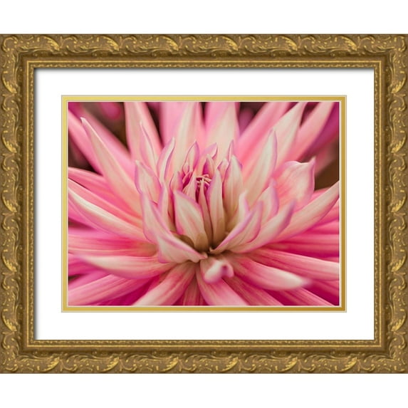 Frank, Assaf 24x19 Gold Ornate Wood Framed with Double Matting Museum Art Print Titled - Dahlia Flower