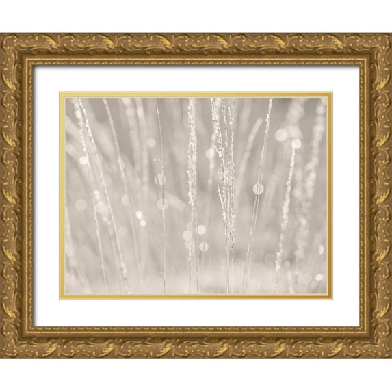 Frank, Assaf 24x19 Gold Ornate Wood Framed with Double Matting Museum Art Print Titled - Dried grass