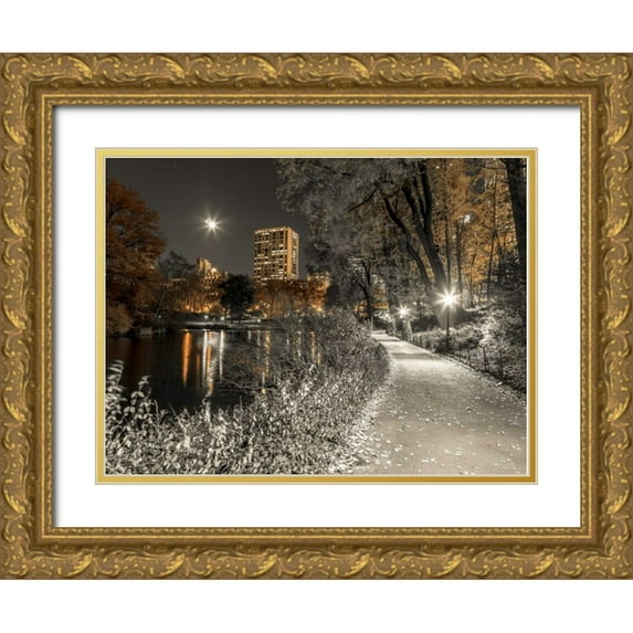 Frank, Assaf 24x19 Gold Ornate Wood Framed with Double Matting Museum Art Print Titled - Evening view of Central Park in New York City