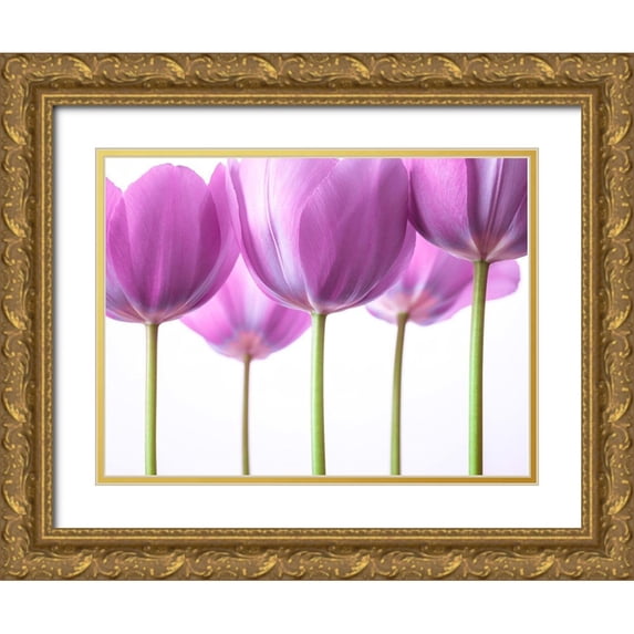 Frank, Assaf 24x19 Gold Ornate Wood Framed with Double Matting Museum Art Print Titled - Purple Tulips