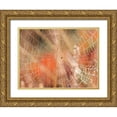 thumbnail image 1 of Frank, Assaf 24x19 Gold Ornate Wood Framed with Double Matting Museum Art Print Titled - Spider web, 1 of 4