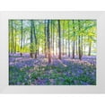 thumbnail image 1 of Frank, Assaf 24x19 White Modern Wood Framed Museum Art Print Titled - Bluebells, 1 of 4