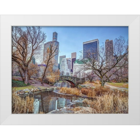 Frank, Assaf 24x19 White Modern Wood Framed Museum Art Print Titled - Central park with Manhattan skyline-New York