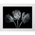 thumbnail image 1 of Frank, Assaf 24x19 White Modern Wood Framed Museum Art Print Titled - Rococo tulips, 1 of 4