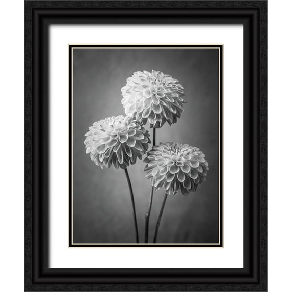 Frank, Assaf 25x32 Black Ornate Wood Framed with Double Matting Museum Art Print Titled - Three Dahlia flowers