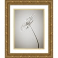 thumbnail image 1 of Frank, Assaf 25x32 Gold Ornate Wood Framed with Double Matting Museum Art Print Titled - Cow parsley flower, 1 of 4