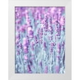 thumbnail image 1 of Frank, Assaf 25x32 White Modern Wood Framed Museum Art Print Titled - Lavender, 1 of 4