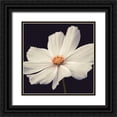thumbnail image 1 of Frank, Assaf 26x26 Black Ornate Wood Framed with Double Matting Museum Art Print Titled - Cosmos II, 1 of 4