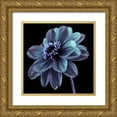 thumbnail image 1 of Frank, Assaf 26x26 Gold Ornate Wood Framed with Double Matting Museum Art Print Titled - AF20110818 Dahlia 046C21, 1 of 4