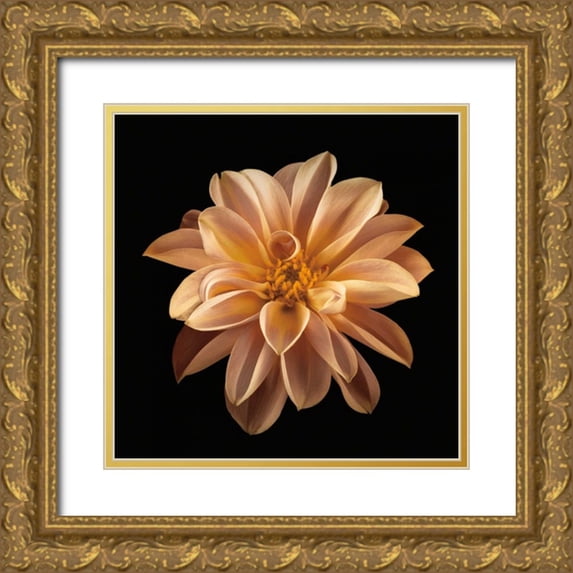 Frank, Assaf 26x26 Gold Ornate Wood Framed with Double Matting Museum Art Print Titled - Four Keeps II