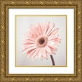 thumbnail image 1 of Frank, Assaf 26x26 Gold Ornate Wood Framed with Double Matting Museum Art Print Titled - Gerbera Flower - FTBR-1927, 1 of 4