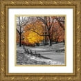 thumbnail image 1 of Frank, Assaf 26x26 Gold Ornate Wood Framed with Double Matting Museum Art Print Titled - Park Pretty I, 1 of 4