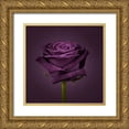 thumbnail image 1 of Frank, Assaf 26x26 Gold Ornate Wood Framed with Double Matting Museum Art Print Titled - Single rose flower close-up, 1 of 4