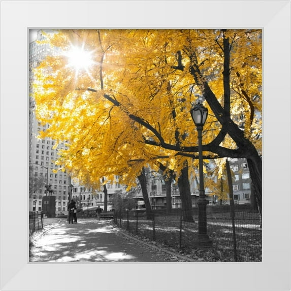 Frank, Assaf 26x26 White Modern Wood Framed Museum Art Print Titled - AF20131119 New York 1316C04