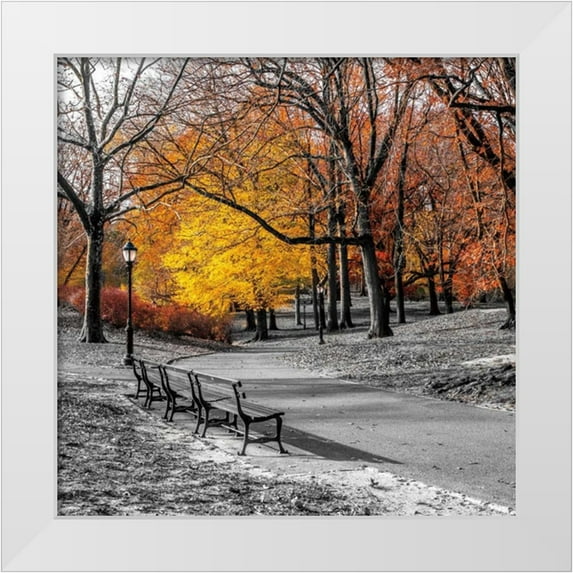 Frank, Assaf 26x26 White Modern Wood Framed Museum Art Print Titled - Park Pretty I