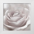 thumbnail image 1 of Frank, Assaf 26x26 White Modern Wood Framed Museum Art Print Titled - Rose close-up, 1 of 4