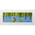 thumbnail image 1 of Frank, Assaf 32x13 White Modern Wood Framed Museum Art Print Titled - Bicycle in spring forest, 1 of 4