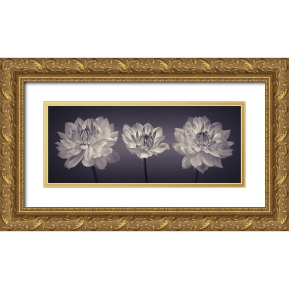 Frank, Assaf 32x15 Gold Ornate Wood Framed with Double Matting Museum Art Print Titled - Three Dahlia flowers