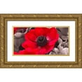 thumbnail image 1 of Frank, Assaf 32x18 Gold Ornate Wood Framed with Double Matting Museum Art Print Titled - AF20111223 Anemone 008C15-2 Red, 1 of 4
