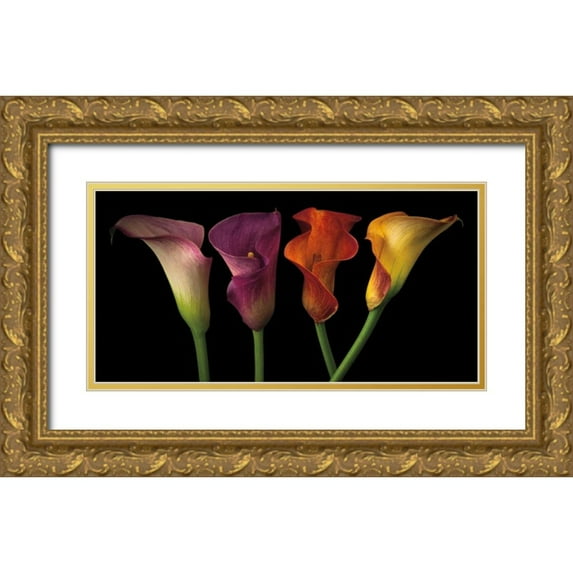 Frank, Assaf 32x18 Gold Ornate Wood Framed with Double Matting Museum Art Print Titled - Jewel Calla Lilies