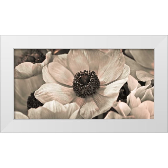 Frank, Assaf 32x18 White Modern Wood Framed Museum Art Print Titled - AF20111223 Anemone 008C18