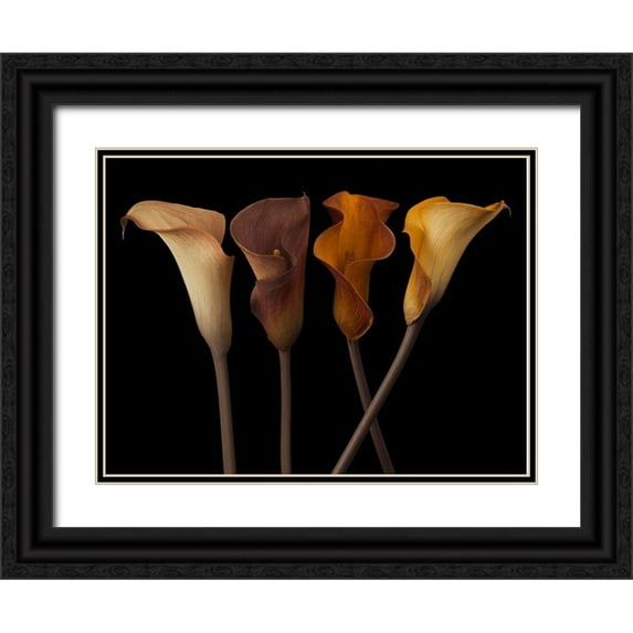 Frank, Assaf 32x25 Black Ornate Wood Framed with Double Matting Museum Art Print Titled - Four calla lilies