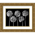 thumbnail image 1 of Frank, Assaf 32x25 Gold Ornate Wood Framed with Double Matting Museum Art Print Titled - Allium flowers, 1 of 4