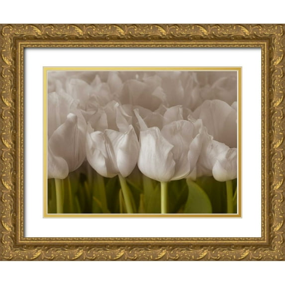 Frank, Assaf 32x25 Gold Ornate Wood Framed with Double Matting Museum Art Print Titled - Bunch of Tulips close-up