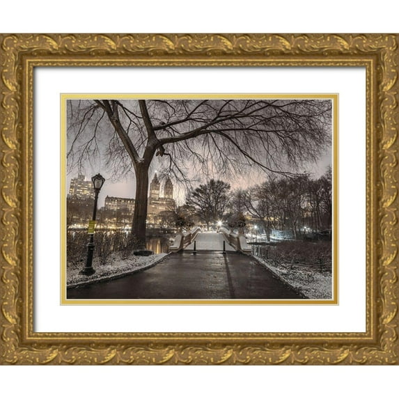 Frank, Assaf 32x25 Gold Ornate Wood Framed with Double Matting Museum Art Print Titled - Evening view of Central park-New York