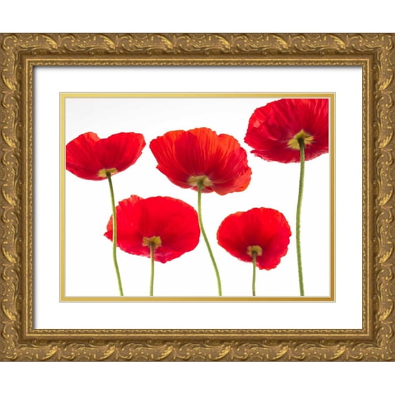 Frank, Assaf 32x25 Gold Ornate Wood Framed with Double Matting Museum Art Print Titled - Five Poppies