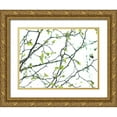 thumbnail image 1 of Frank, Assaf 32x25 Gold Ornate Wood Framed with Double Matting Museum Art Print Titled - Tree branches, 1 of 4