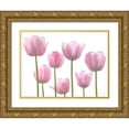 thumbnail image 1 of Frank, Assaf 32x25 Gold Ornate Wood Framed with Double Matting Museum Art Print Titled - Tulips, 1 of 4