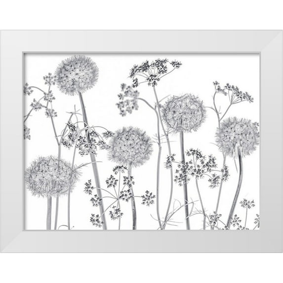 Frank, Assaf 32x25 White Modern Wood Framed Museum Art Print Titled - Meadow flowers