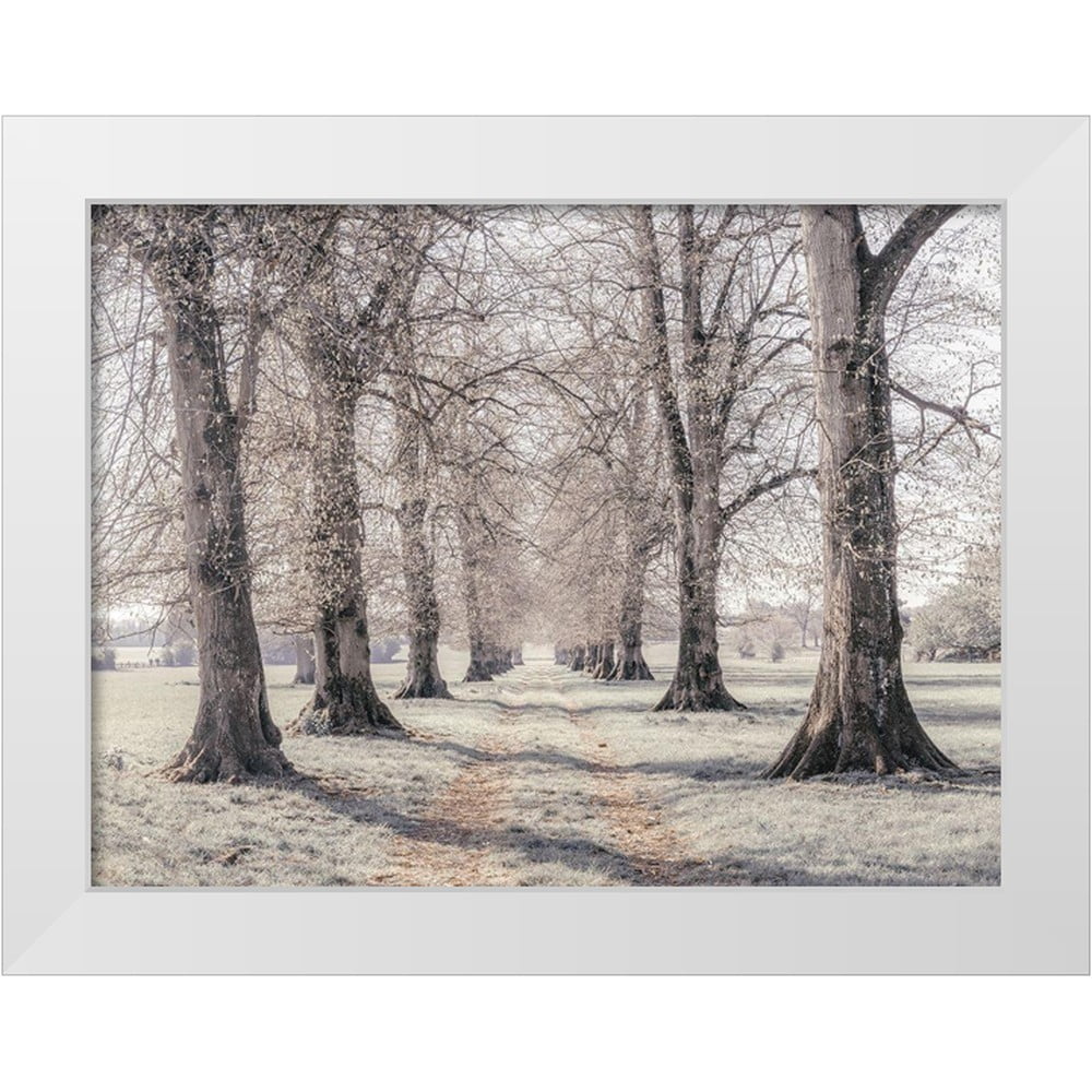 Silver Sands By Assaf Frank - Framed Print Wall Art - Beige