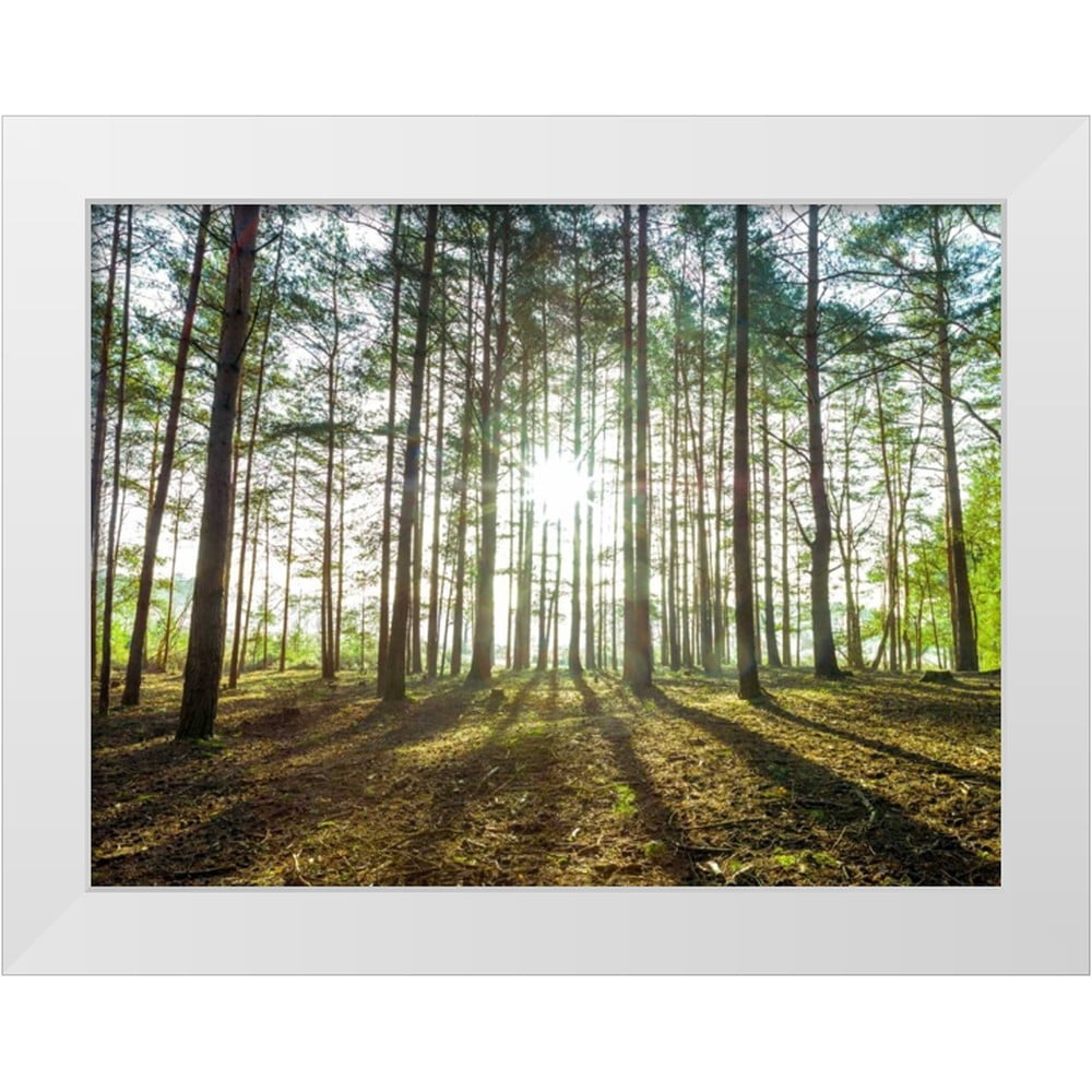 Rosy Sunset By Frank Assaf - Mirror Framed Print Wall Art - Gray