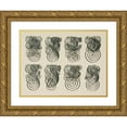 thumbnail image 1 of Frank Chouteau Brown 14x11 Gold Ornate Wood Frame and Double Matted Museum Art Print Titled - German Gothic Initials (1902), 1 of 4