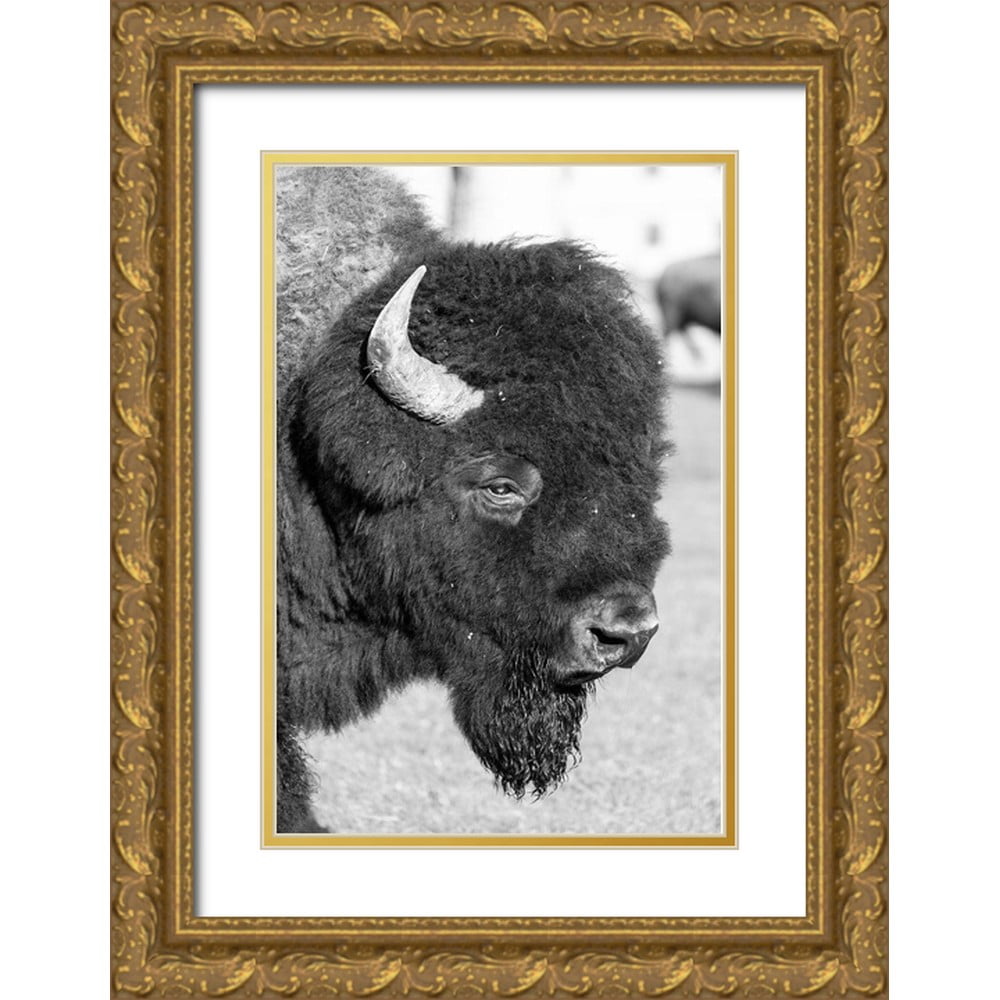 Frank, Jacob W. 11x14 Gold Ornate Wood Framed with Double Matting ...
