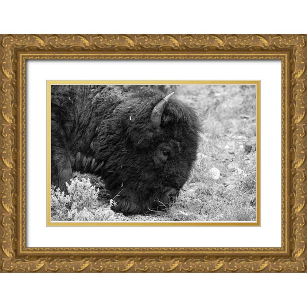 Frank, Jacob W. 14x11 Gold Ornate Wood Framed with Double Matting ...
