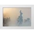 thumbnail image 1 of Frank, Jacob W. 14x11 White Modern Wood Framed Museum Art Print Titled - Gibbon Canyon near Beryl Spring, Yellowstone National Park, 1 of 4