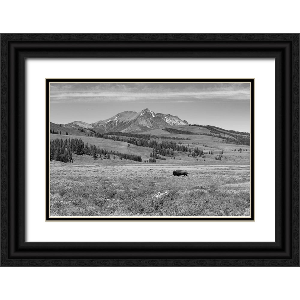 Frank, Jacob W. 18x13 Black Ornate Wood Framed with Double Matting ...