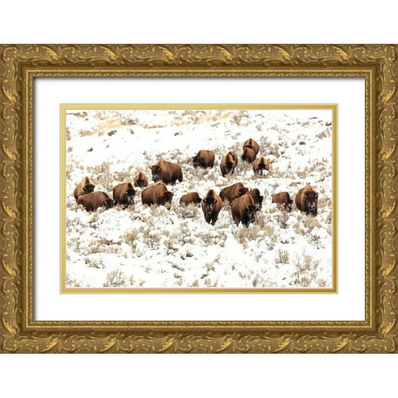 Frank, Jacob W. 18x13 Gold Ornate Wood Framed with Double Matting Museum Art Print Titled - Bison near Blacktail Ponds, Yellowstone National Park